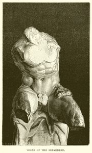 Belvedere