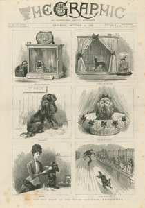 Kraliyet Akvaryumu'nda oyuncak köpek gösterisi by English School