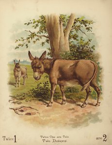 İki Eşek (chromolitho) by English School