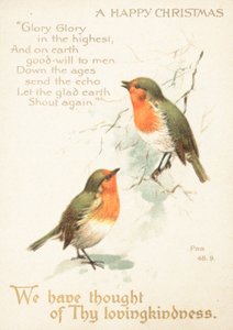 Karda iki Robins, Noel Kartı by English School