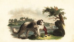 Bilinmeyen resim by English School