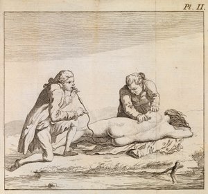 Canlandırmaya yardımcı olmak için boğulan kadının bağırsaklarına tütün dumanı üflemek için bir tütsüleyici kullanmak, c.1790 (gravür) by English School