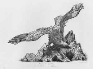 Victoria ve Albert Müzesi: Kartal, demir, Migochin Muneharu (gravür) by English School