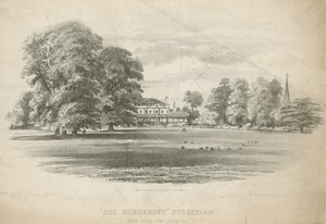 The Shrubbery arazisinden görünüm by English School