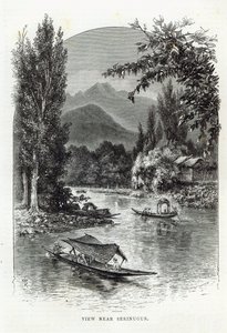 Serinugur