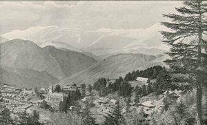 Hindistan Hükümeti Yaz Merkezi Simla