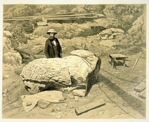 Charles Thomas Newton (1816-94) tarafından 1862