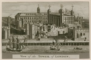 Londra Kulesi'nin görünümü by English School