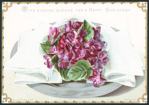 Menekşeler, Noel Kartı by English School