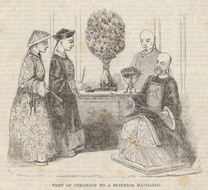 Üstün Mandarin