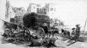 Esparto Grass ile Vagonlar, Almeria, İspanya, Cassell and Co. Ltd. tarafından yayınlanan 