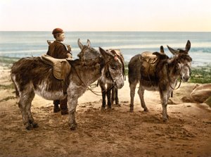 İş bekliyorum (el boyaması fotoğraf) by English School