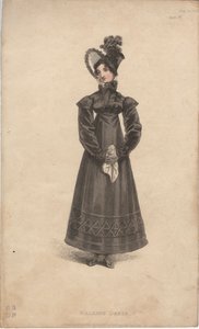 Yürüyüş elbisesi by English School