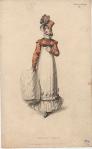 Yürüyüş elbisesi by English School