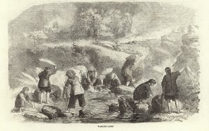 Çamaşır Keteni by English School