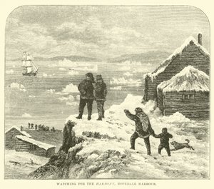 Uyum için izliyorum, Hopedale Limanı by English School