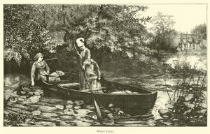 Su zambakları by English School