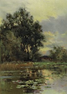 Su zambakları by English School