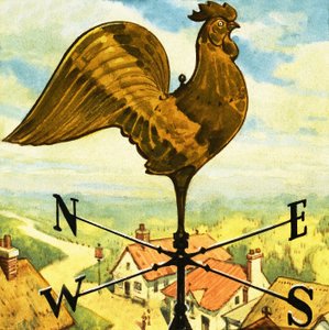 Rüzgar gülü by English School