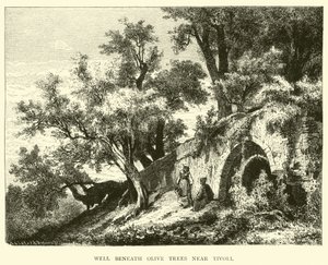 Tivoli yakınlarındaki Zeytin ağaçlarının altında by English School