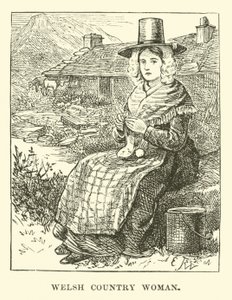 Galli kadın by English School