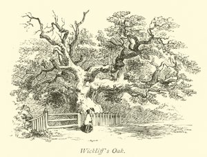 Wickliffs Meşe by English School