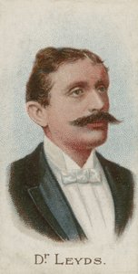 Willem Johannes Leyds, Hollandalı avukat ve devlet adamı by English School
