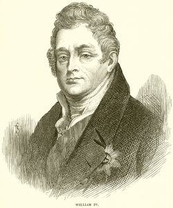 IV. William by English School