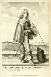 Portakallı William by English School