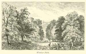 Windsor Parkı by English School