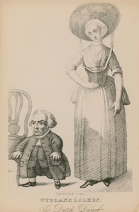 Wyband Lolkes, Hollandalı cüce by English School