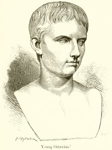 genç ahtapot by English School
