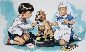 genç veterinerler by English School