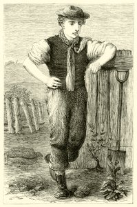 Genç bahçıvan (gravür) by English School