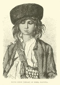 Genç çingene, Essekli Cingan, Slavonya by English School