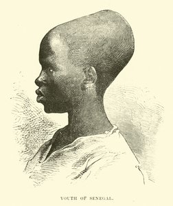 Senegal gençliği by English School