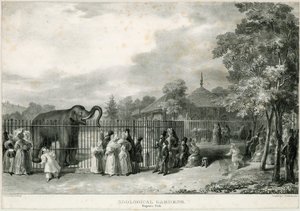 Hayvanat Bahçeleri, Regents Parkı by English School