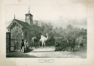 Hayvanat Bahçeleri, Regents Parkı by English School