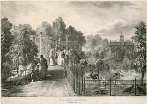 Hayvanat Bahçeleri, Regents Parkı by English School