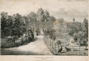 Hayvanat Bahçeleri, Regents Parkı by English School