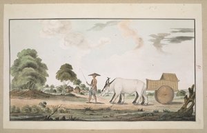 f.80 (91) Bir öküz arabası ve sürücüsü by English School