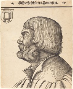 Albrecht Dürer Elli Altı Yaşında by Erhard Schon