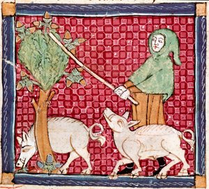 Eylül: meşe palamudu yiyen domuzlar. Ermengol de Beziers (Matfre Ermengau) (Ermengaud) tarafından “Breviaire d