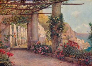 Kapuçino, Amalfi, 1903