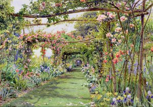 Gül Pergola, Blackhurst Evi, Tunbridge Wells, Kent