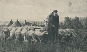 Picardy Çoban, 1919 by Ernest George Beach