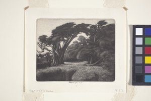 Selvi Bower (mezzotint)