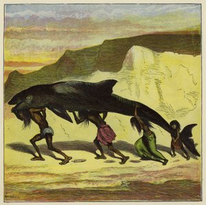 Harika komik balık by Ernest Henry Griset