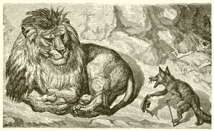 Tilki ve Aslan