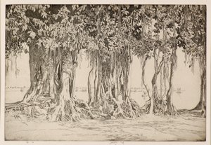Banyan Ağacı